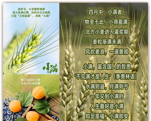 人间小满花语是什么意思？如何理解花语的深层含义？