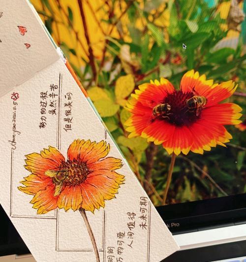 送你一朵花杯子代表什么含义？如何挑选寓意深刻的杯子？