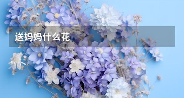 孕妇寓意好的花是什么花？哪些花卉适合送给准妈妈？