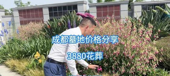 花坛养花的实用知识和技巧是什么？