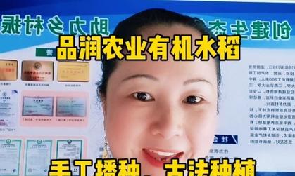 上海水稻的播种方式有哪些？