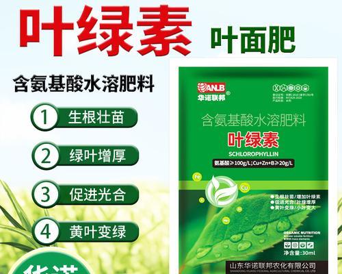 叶子发黄时叶面肥如何选择？有哪些推荐？
