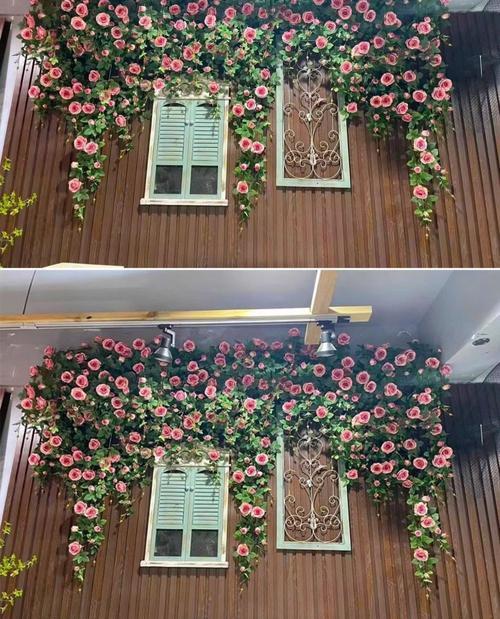 阳台缠绕的花有哪些名称？