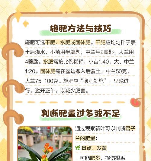 君子兰种球如何正确挖掘？步骤是什么？
