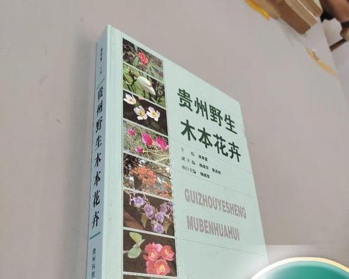 贵州最珍贵的野生花卉有哪些？贵州有哪些珍稀野生花卉？