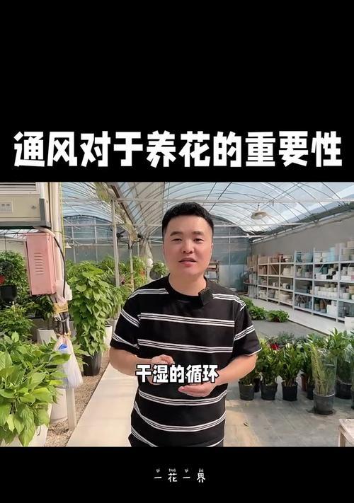 家里养花如何保持良好的通风环境？