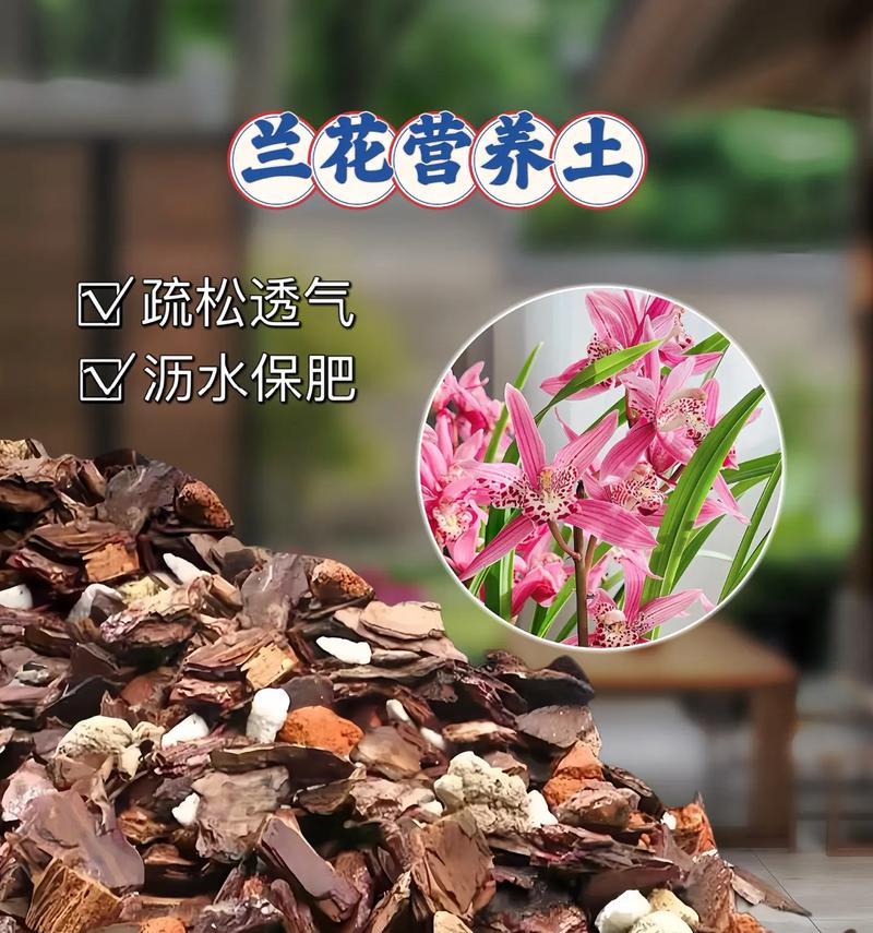 家庭怎么制作君子兰专用土？自制土壤的配方和步骤是什么？