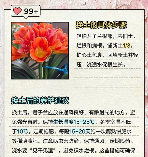 家庭怎么制作君子兰专用土？自制土壤的配方和步骤是什么？