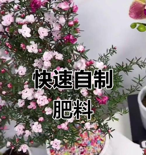 自制磷氮肥的方法是什么？自制肥料的好处有哪些？