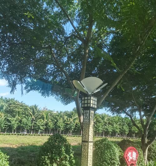 云南热带观赏植物有哪些？如何进行养护管理？