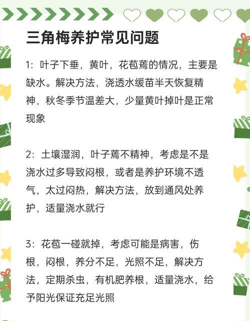 三角梅寄生根的养护技巧是什么？如何正确处理？