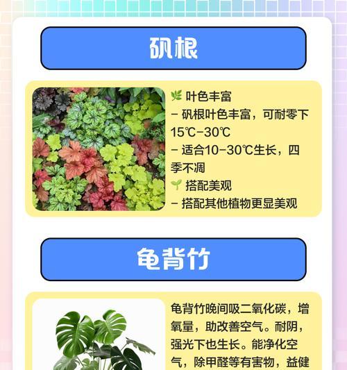 养花绿的小技巧有哪些？怎样让家中植物更加生机勃勃？