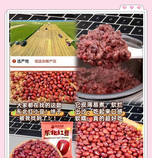豆红的栽培技术有哪些？栽培过程中需要注意什么？