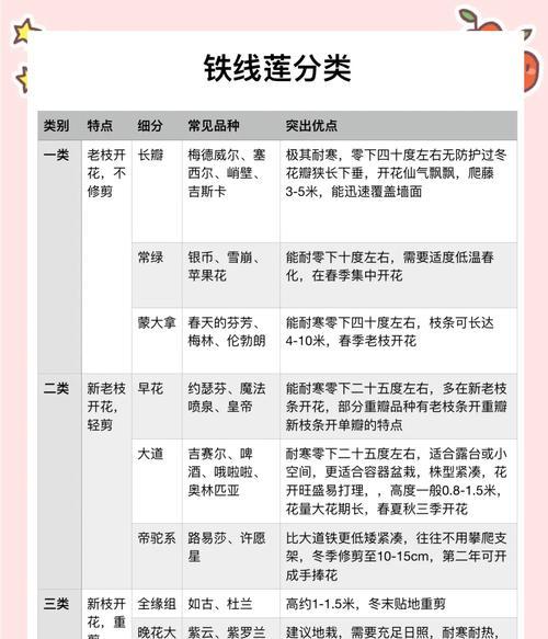 收到铁线莲约瑟芬大苗后应如何处理？