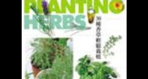 香草栽培技术有哪些？不同种类的香草如何种植？