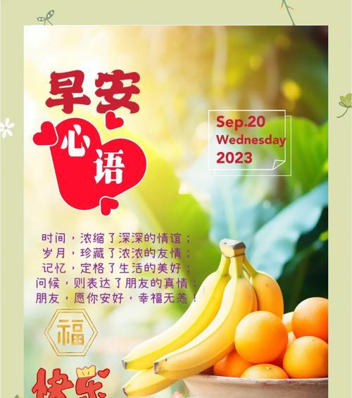 如何形容月季太阳之美？