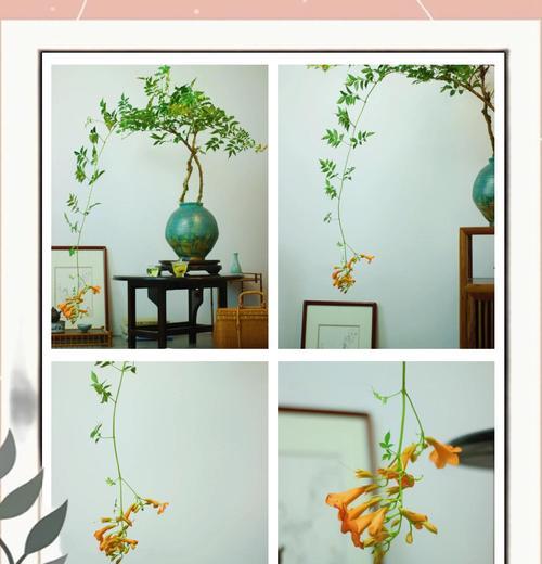 凌霄花如何制作盆景？有哪些技巧？