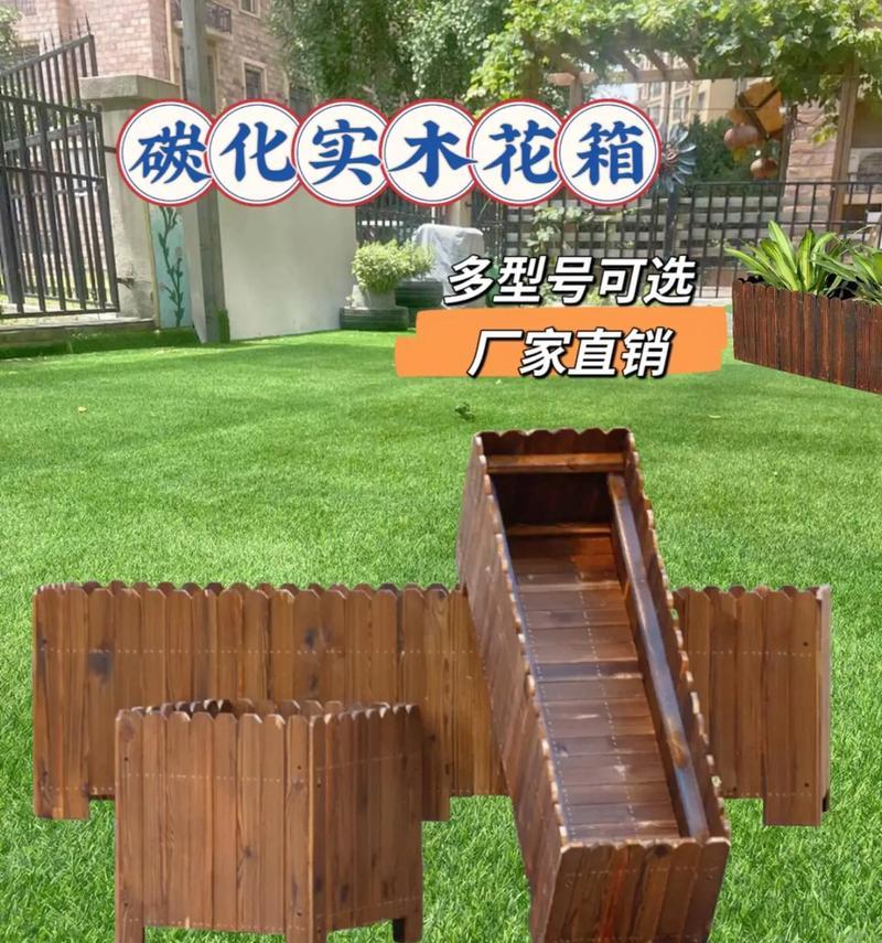 花槽适合哪些水生植物？