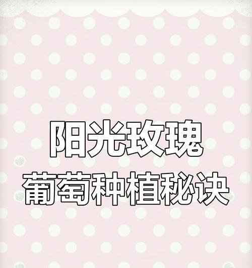 葡萄双层栽培的关键技术要点是什么？