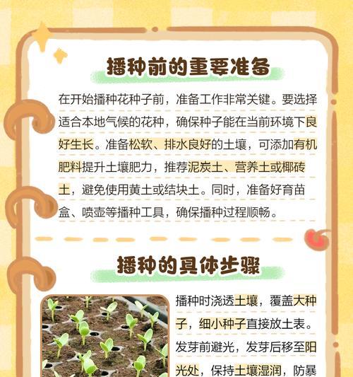 春夏季节适合播种哪些花的种子？