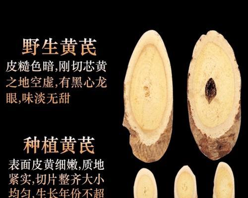 粉黄芪的最佳播种时间是什么时候？