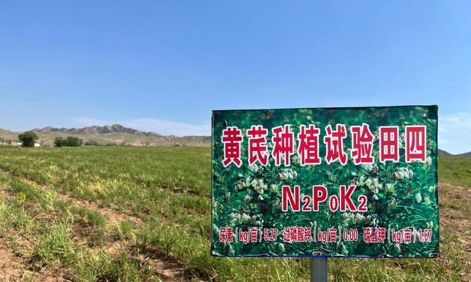 粉黄芪的最佳播种时间是什么时候？