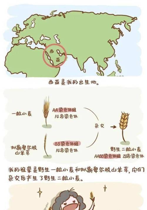 麦子的最佳播种季节是什么时候？如何选择合适的播种时间？