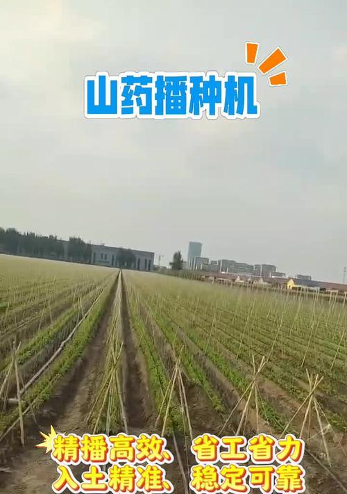 播种后覆盖保湿材料的选择是什么？