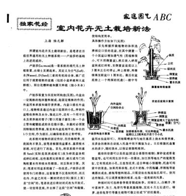 无土栽培技术在花卉培育中的应用？