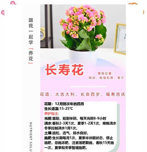 阴阳台室内花卉选择和养护技巧是什么？