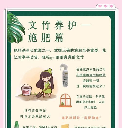 毛竹栽培的关键技术要点是什么？