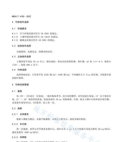毛竹栽培的关键技术要点是什么？