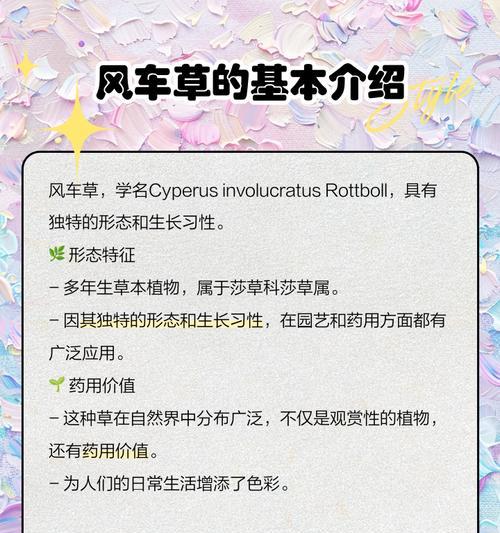 风车栽培技术有哪些？如何有效栽培风车植物？
