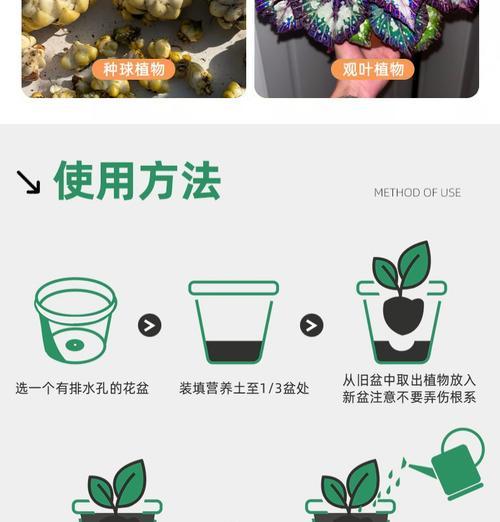 自制种菜营养肥料的方法有哪些？