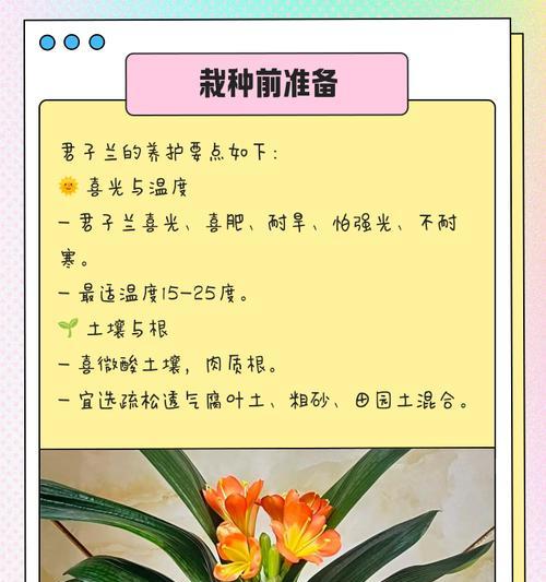 如何促进君子兰长出更多侧芽？