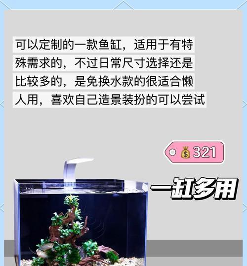 鱼缸中观赏植物的作用有哪些？如何选择适合的植物进行养护？
