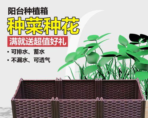花红果树叶子黄化的原因及解决措施是什么？