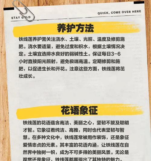 春天种植铁线莲种子的正确步骤是什么？