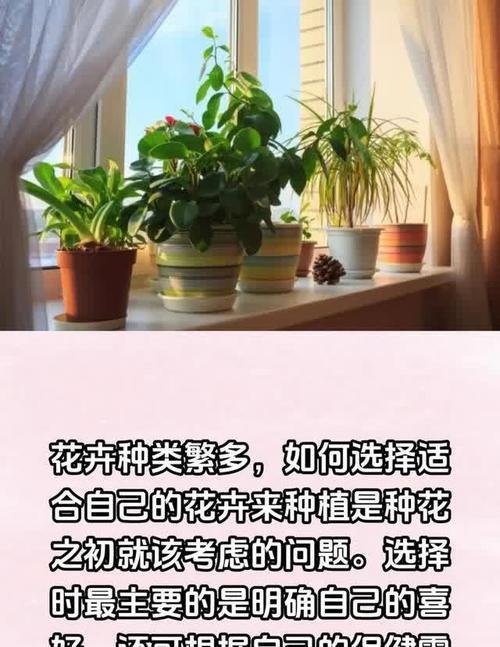 健康养花有哪些技巧和方法？