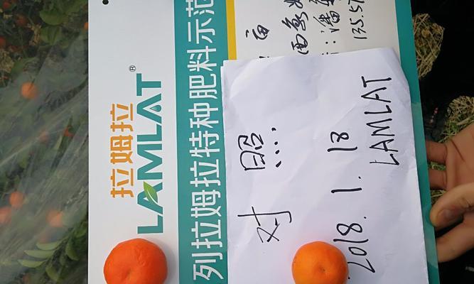 自制小树生根水溶肥料的方法是什么？有哪些好处？