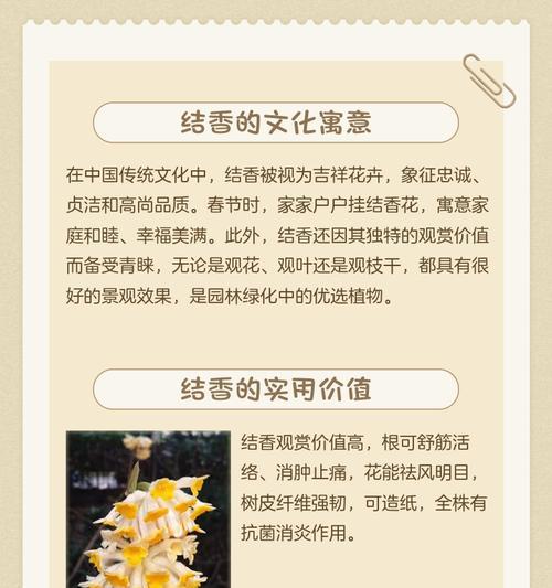 结香高产栽培技术要点是什么？结香栽培的注意事项有哪些？