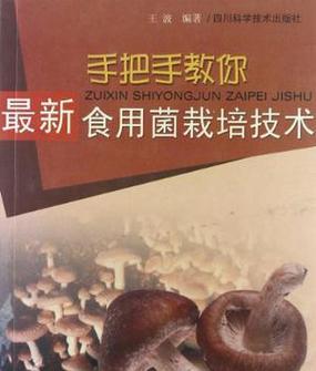珍稀食用菌栽培技术要点是什么？如何提高产量？