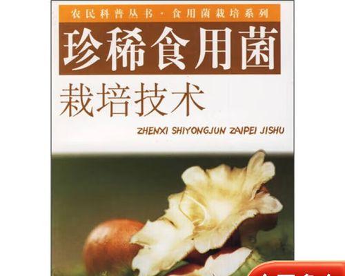 珍稀食用菌栽培技术要点是什么？如何提高产量？