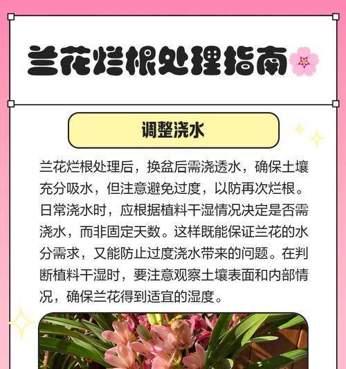 兰花无性栽培的技术要点是什么？