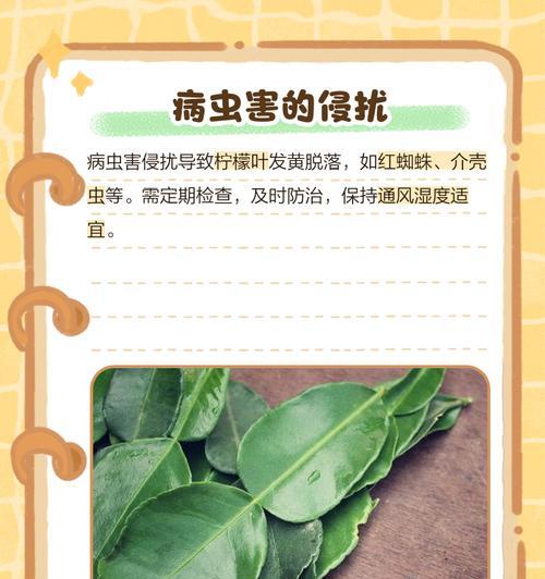柠檬树叶子发黄是由于什么原因？