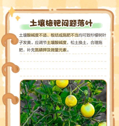 柠檬树叶子发黄是由于什么原因？
