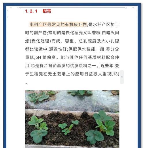 巧子栽培技术有哪些？不同种类的栽培方法有何不同？