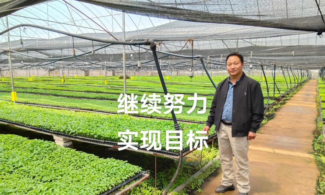 贡菜种子播种时间？最佳播种期是什么时候？
