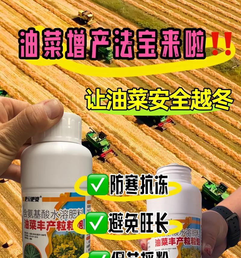 大油菜栽培的关键技术是什么？
