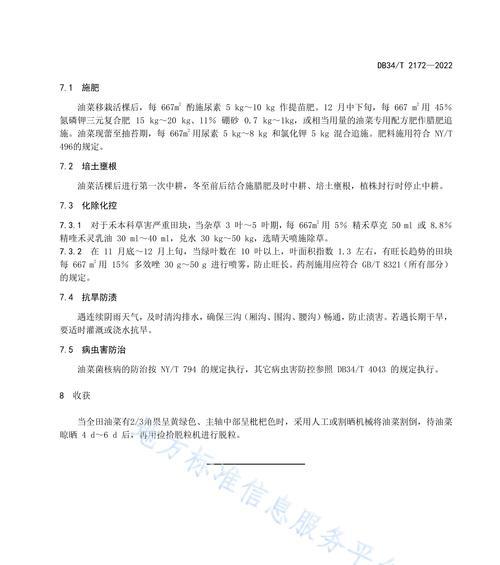 大油菜栽培的关键技术是什么？